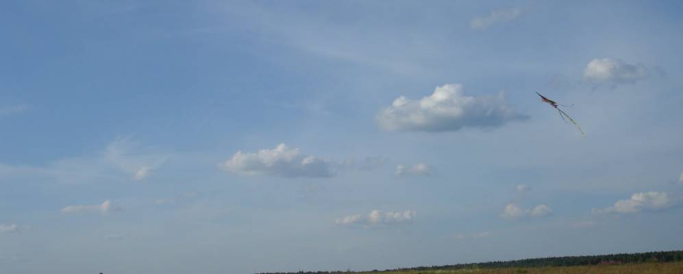 
            Фотография Дятлово