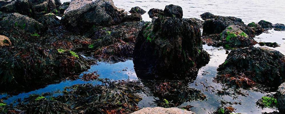 
            Фотография Пензанса