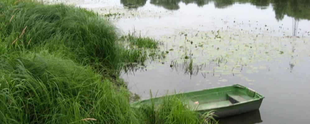 
            Фотография Веретья