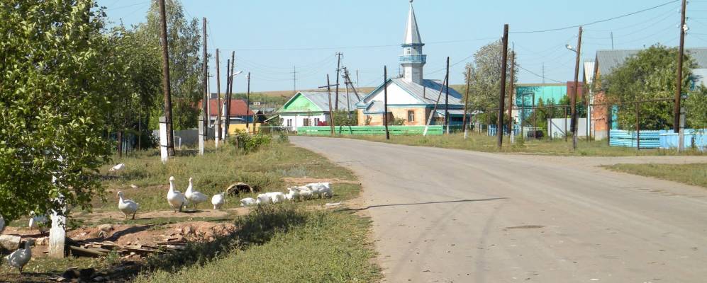 
            Фотография Мочалеевки