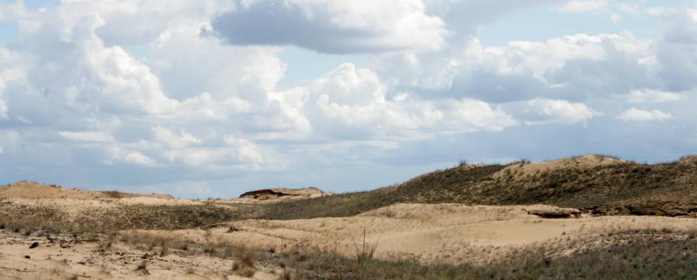 
            Фотография Пустовского