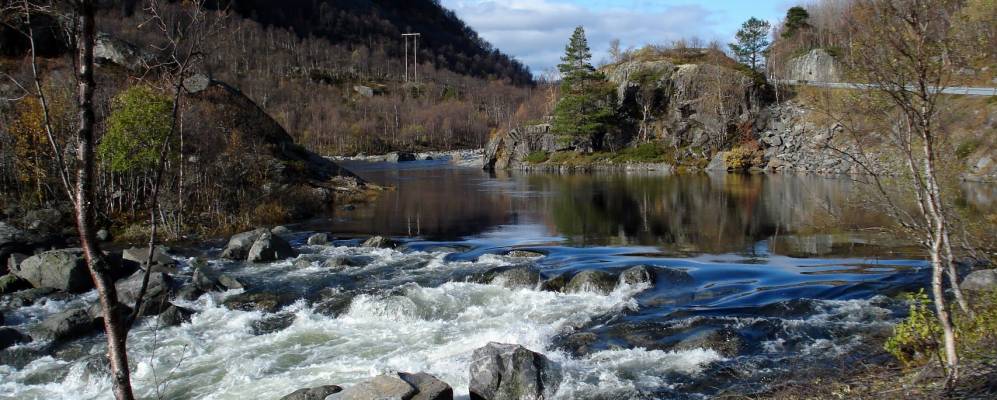 Фотография Skoro