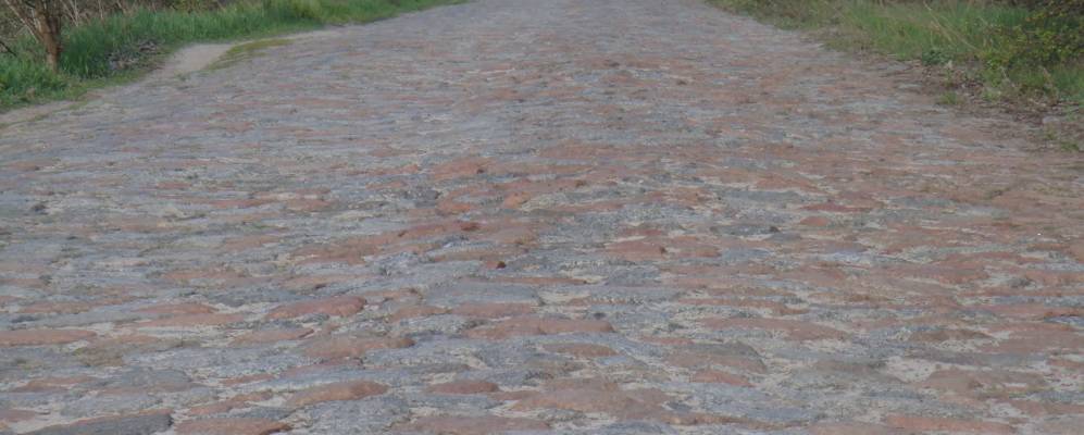 
            Фотография Лошаковой Гуты