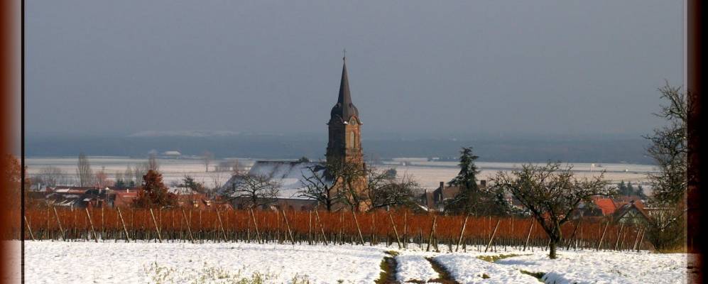 
            Фотография Уфолс