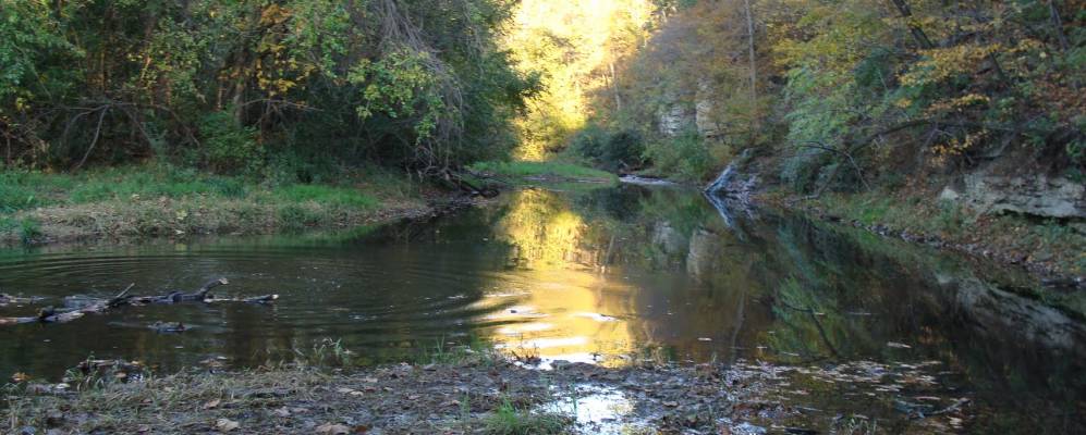 
            Фотография Гамильтона