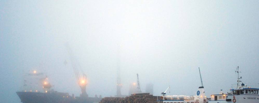 Фотография Холдена