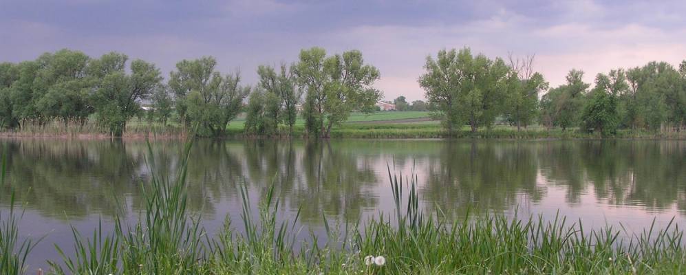 
            Фотография Пустовиты