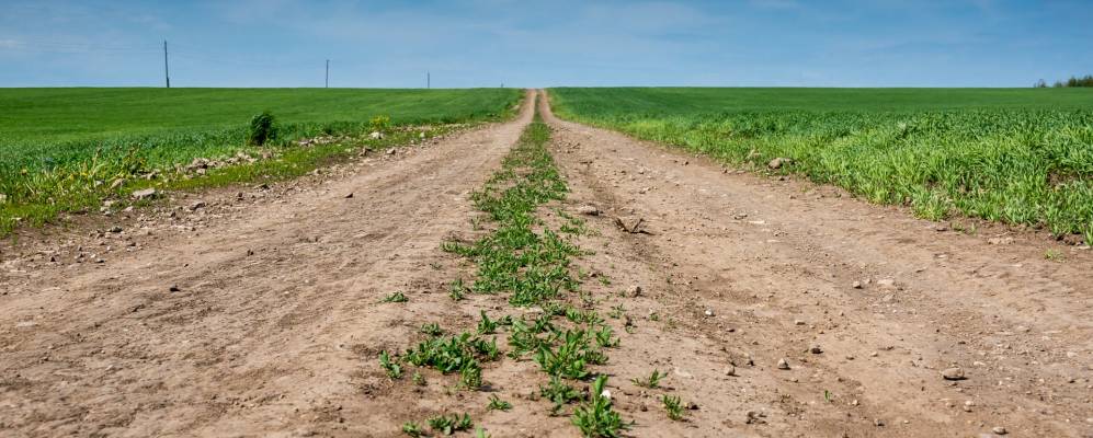 
            Фотография Киселевки