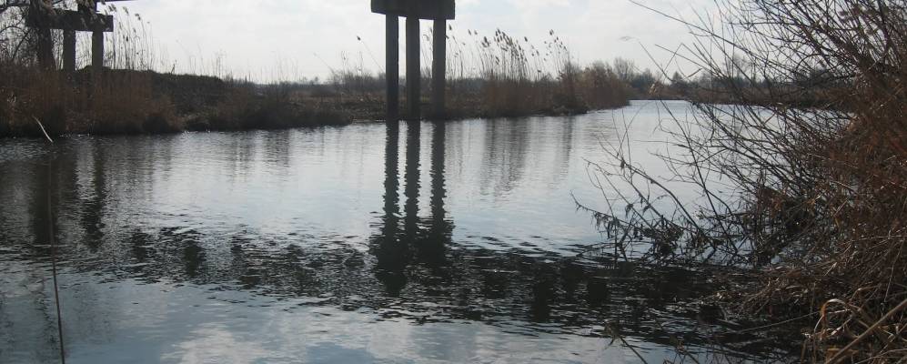 
            Фотография Черкас