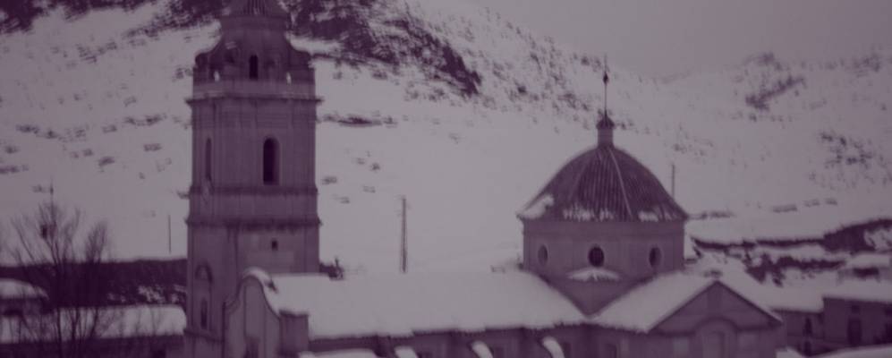 
            Фотография Ория