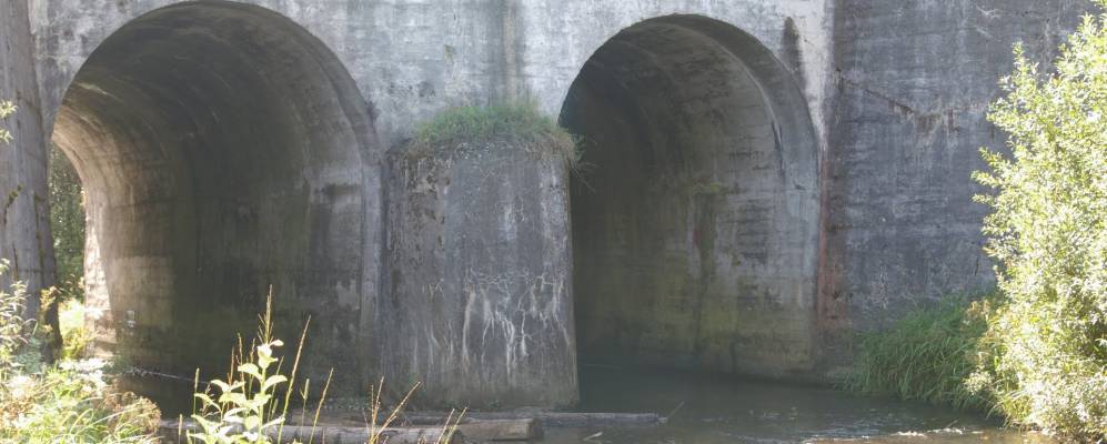 
            Фотография Земляничного