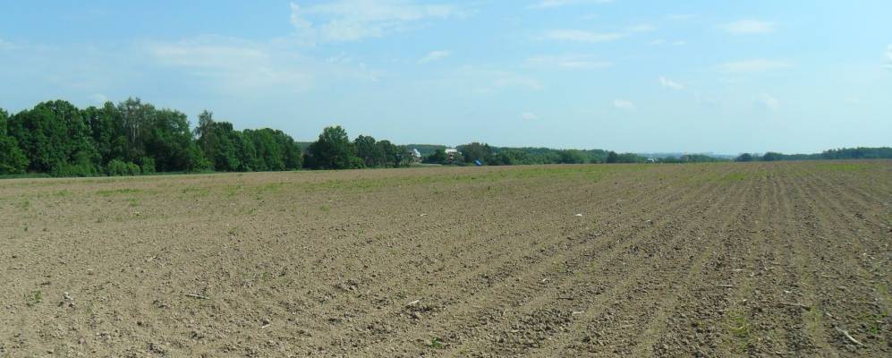 
            Фотография Черепово