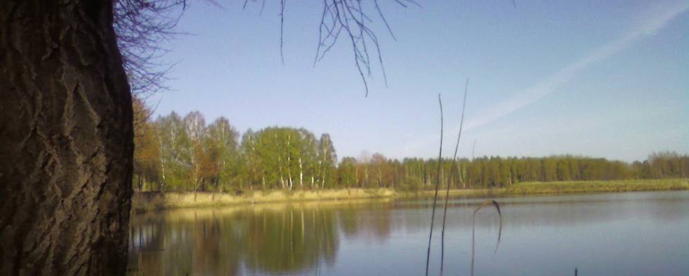 
            Фотография Сартама