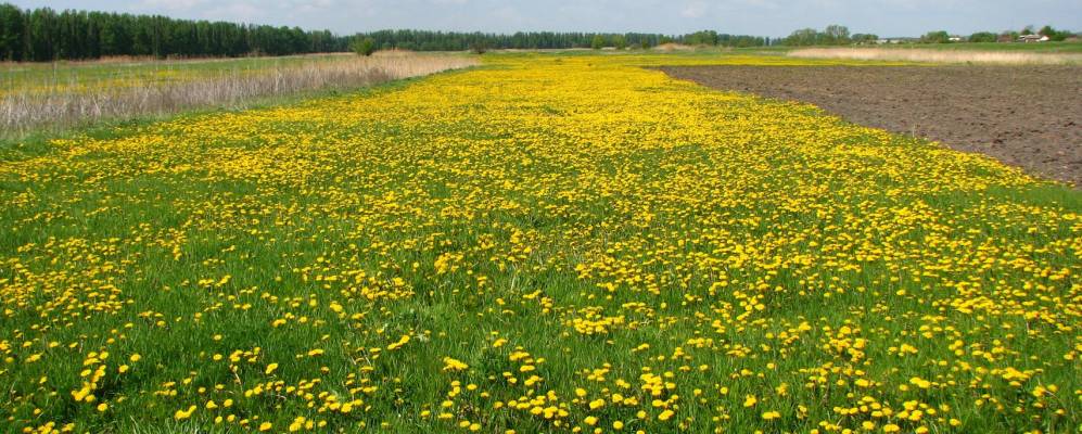
            Фотография Шуликовки