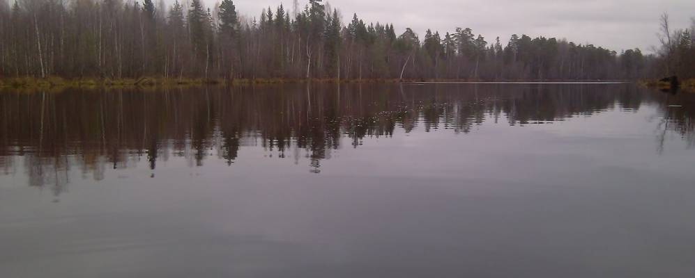 
            Фотография Кербаша