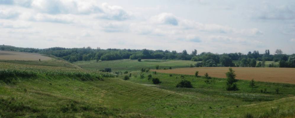 
            Фотография Лысогоры