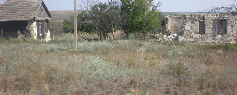 
            Фотография Липового