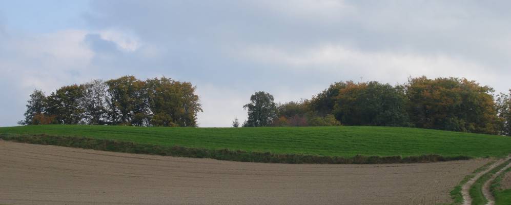 
            Фотография Экюблана