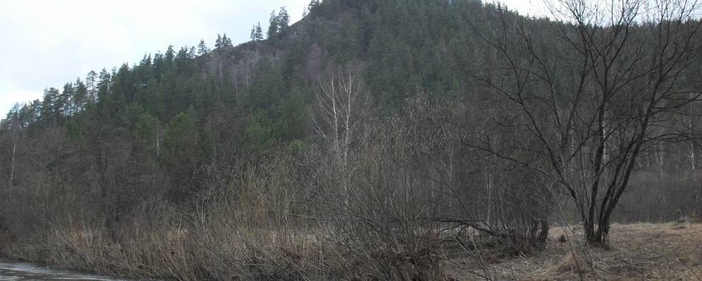 
            Фотография Лапышты