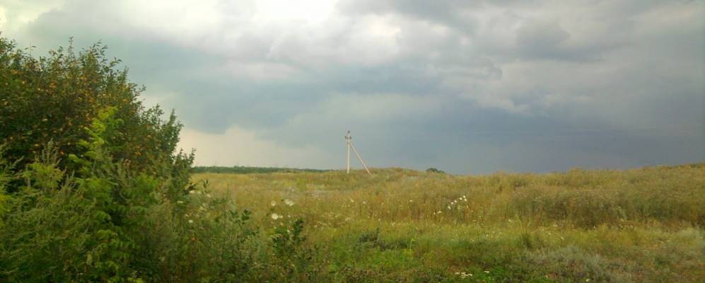 
            Фотография Березовки