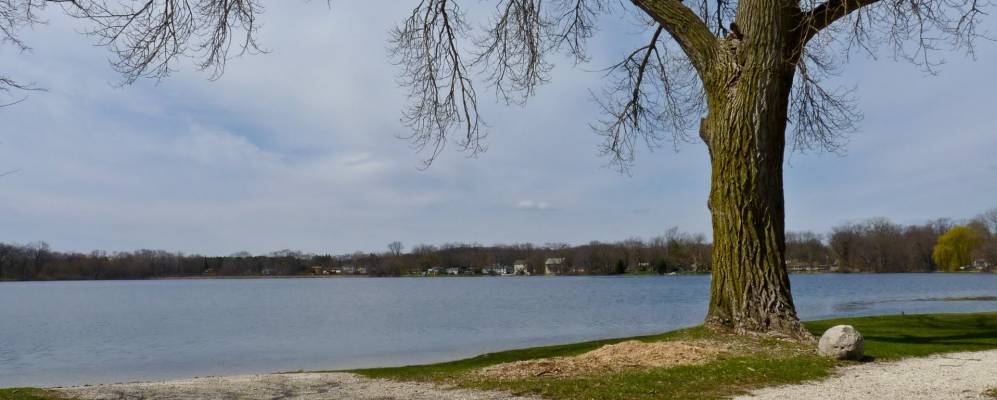 
            Фотография Лейкмура