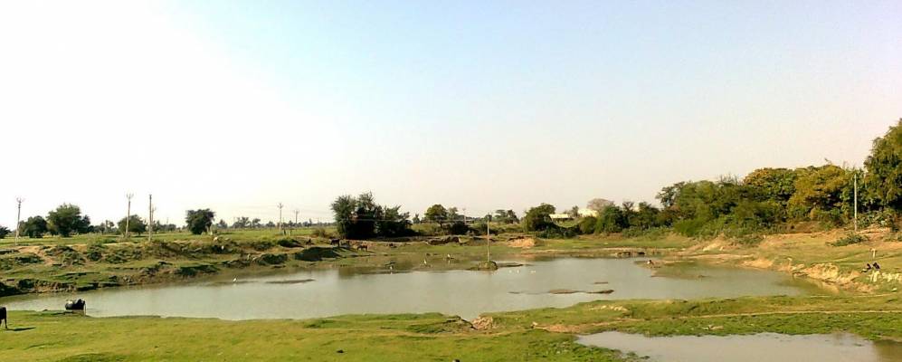 
            Фотография Дабхои