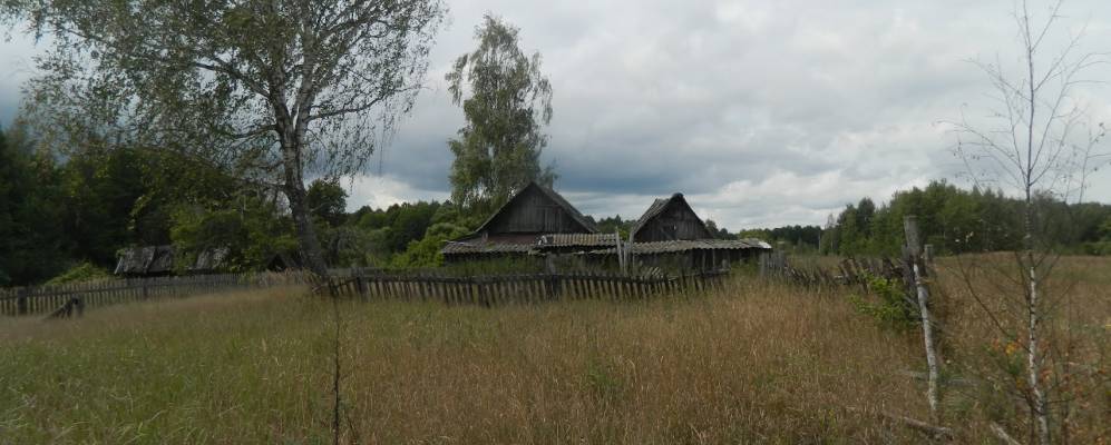 
            Фотография Сенчуров