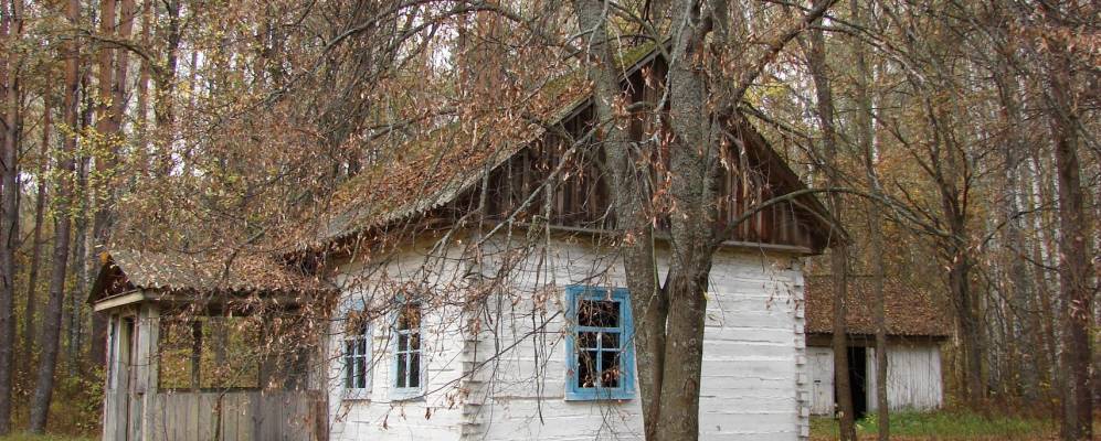 
            Фотография Покошичей