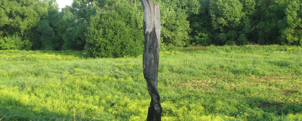 
            Фотография Березников