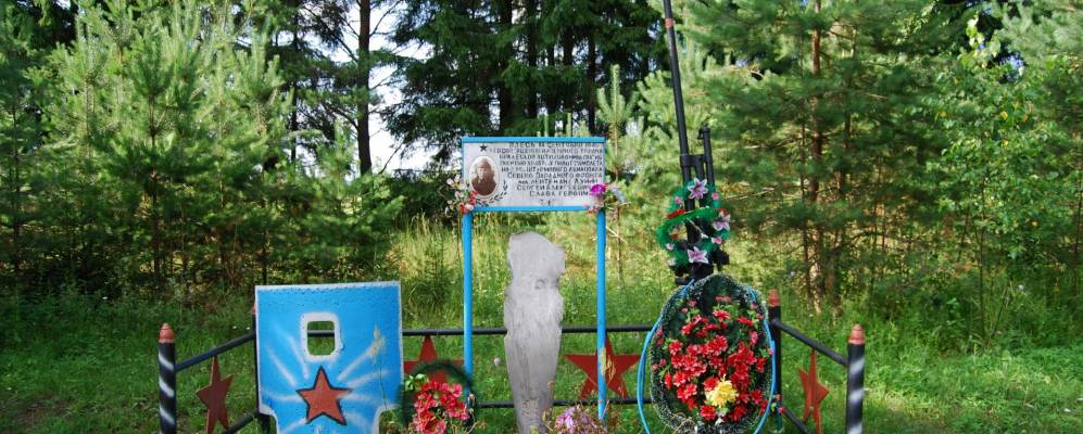 
            Фотография деревни Боровицы