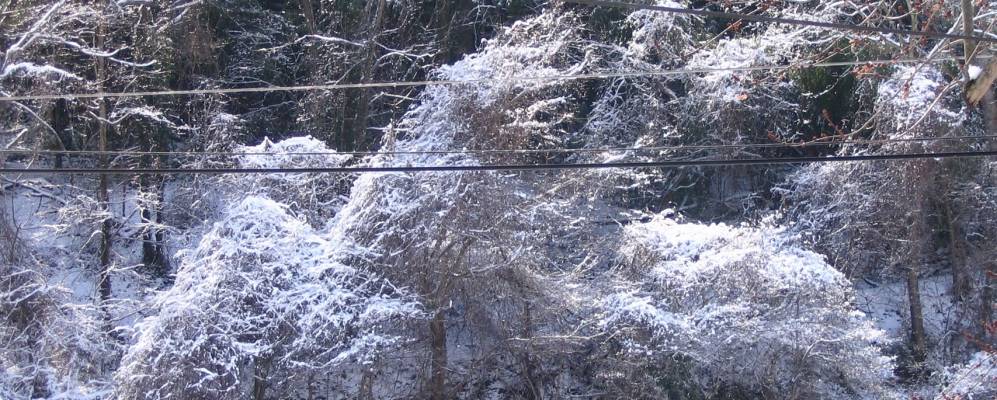 
            Фотография Вест Линчбурга