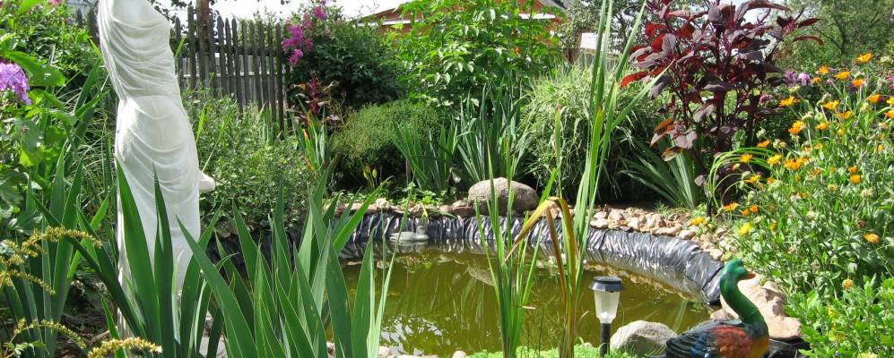 
            Фотография Михали