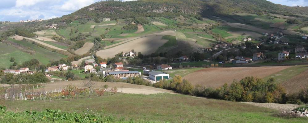 
            Фотография Баранело