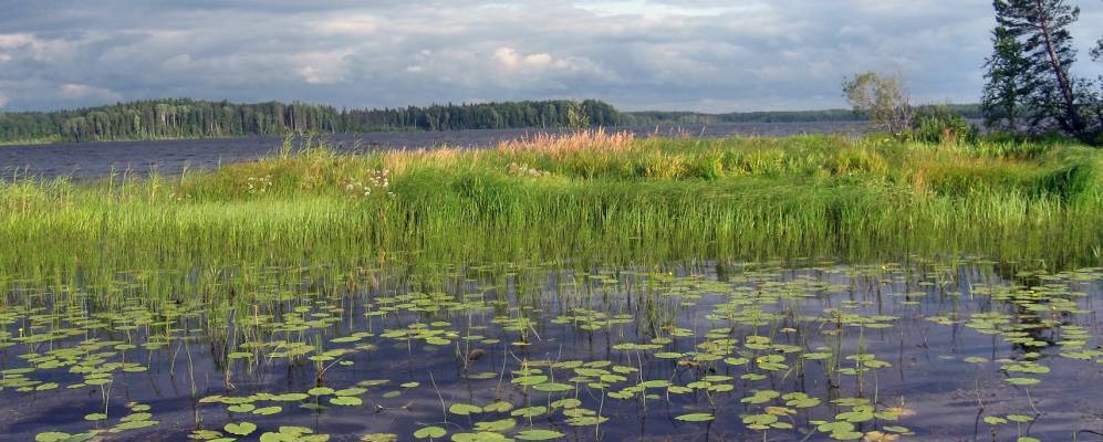
            Фотография Митинского