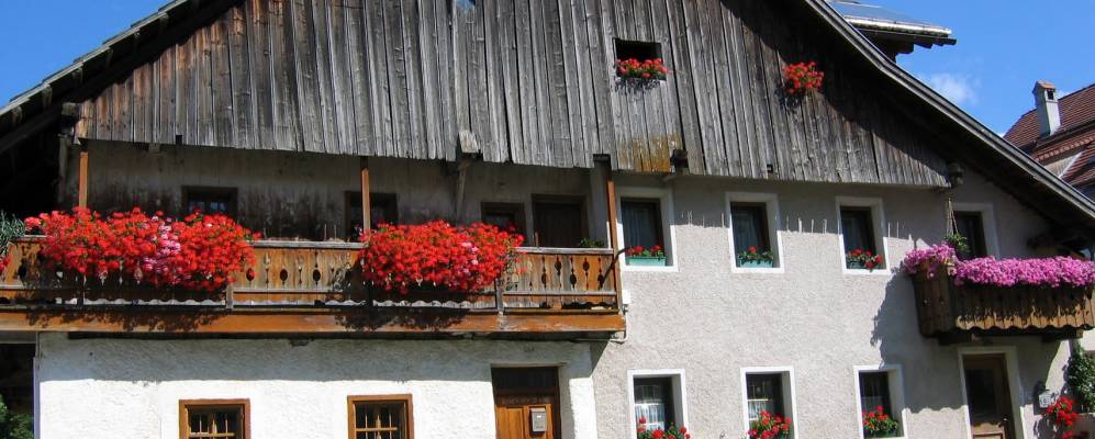 
            Фотография Разена-Антхольца