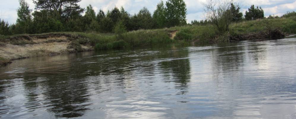 Фотография Городчины