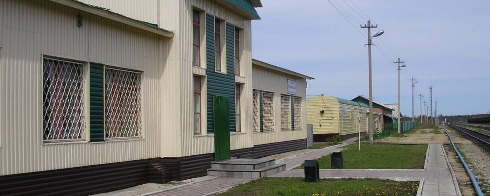 Фотография Чиньяворыка