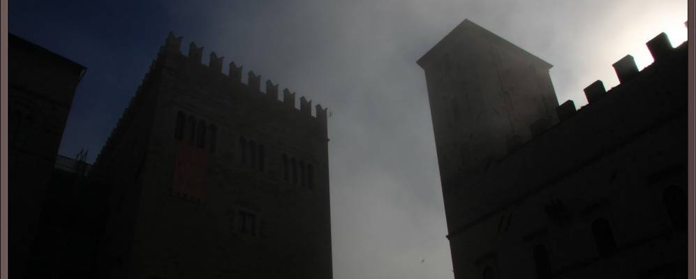 
            Фотография Тоди