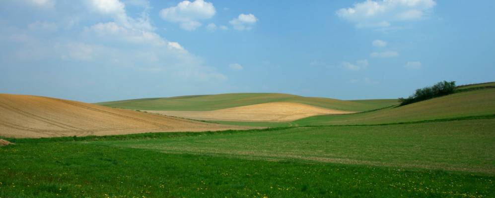 
            Фотография Хати