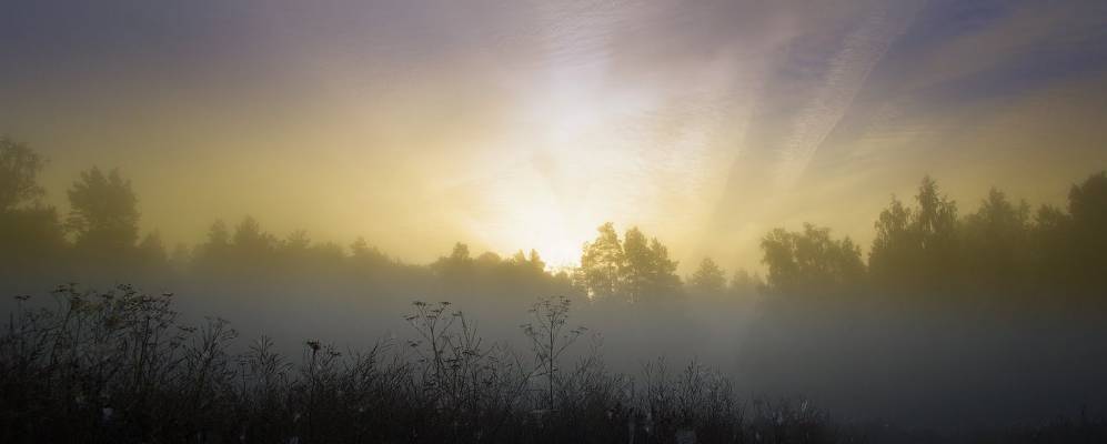 
            Фотография Раменья