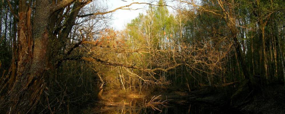 Фотография Красной Горки