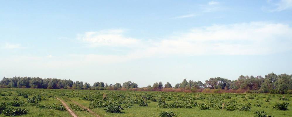 
            Фотография Свердловца