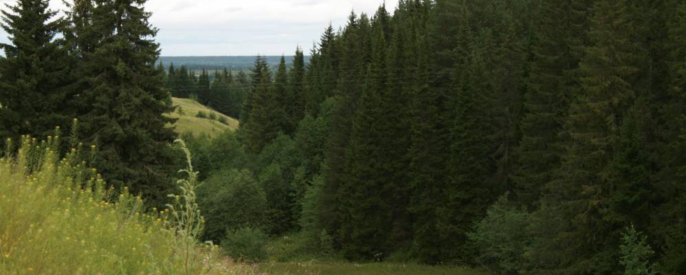 
            Фотография Якушевской