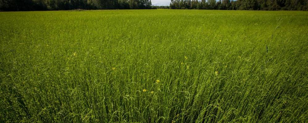 
            Фотография Ильинского