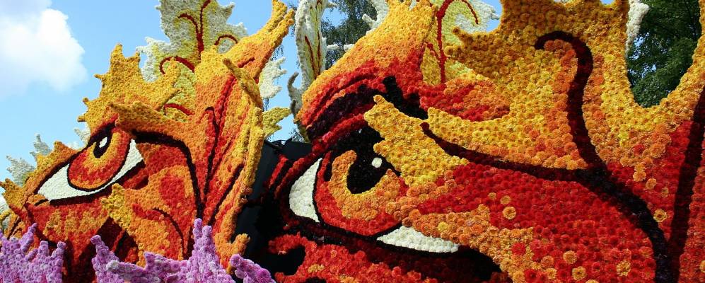 
            Фотография Лихтенворде