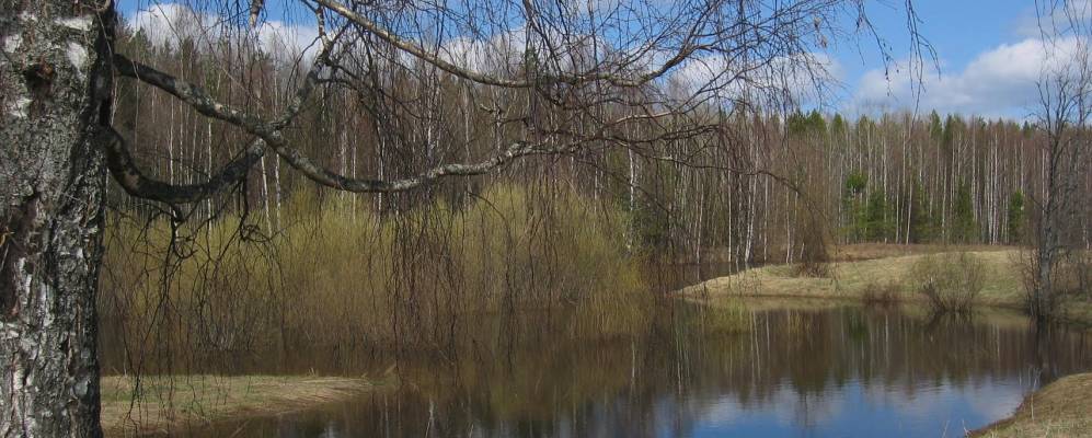 
            Фотография Семенчина