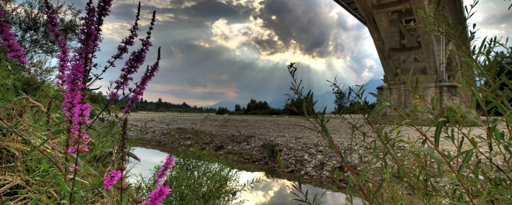 
            Фотография Лиманы