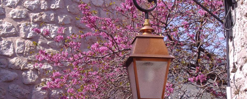 
            Фотография Гурдон