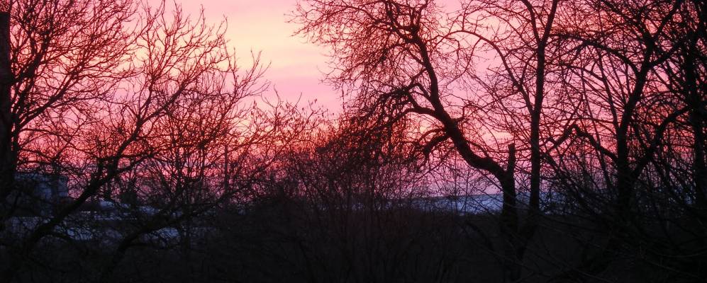 
            Фотография Руазеле