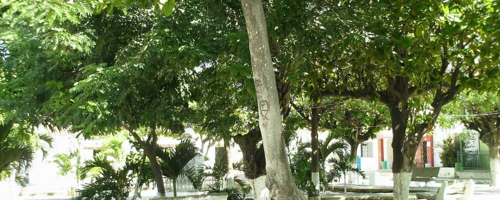 
            Фотография Бонду